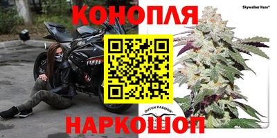 сатива Кинель