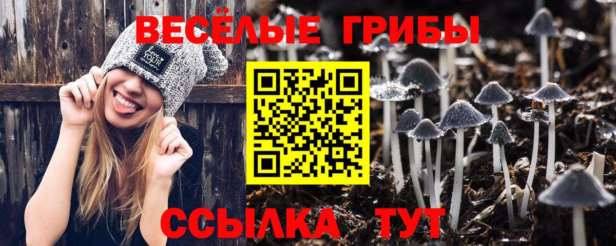 Галлюциногенные грибы мухоморы Ишим