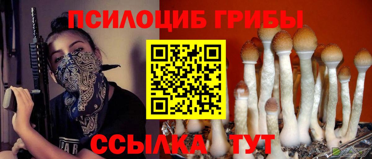 Галлюциногенные грибы Cubensis  Вход с VPN  Псилоцибиновые грибы прущие грибы  Ишим 